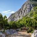 Wellness lifestyle: Immerse Yourself in Nature and Indulge in a Relaxing Experience in Makarska!